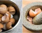 How to Make Your Own Calcium Supplement from Eggshells